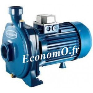 Pompe Monocellulaire Fonte Renson de 1,2 à 5,4 m3/h entre 32,5 et 25,2 m HMT Mono 230 V 0,74 kW - EconomO.fr