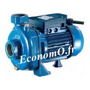 Pompe Monocellulaire Fonte Renson de 2,4 à 16,8 m3/h entre 20 et 10,5 m HMT Mono 230 V 0,74 kW - EconomO.fr